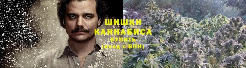 купить наркоту  Большой Камень  omg зеркало  Каннабис LSD WEED 